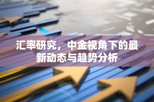 汇率研究，中金视角下的最新动态与趋势分析