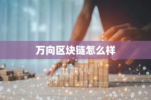 万向区块链怎么样