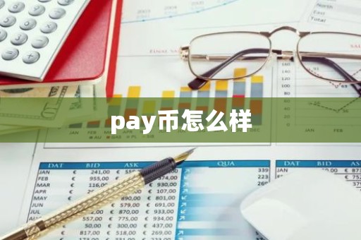 pay币怎么样