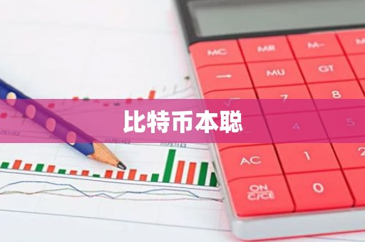 比特币本聪