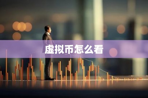 虚拟币怎么看
