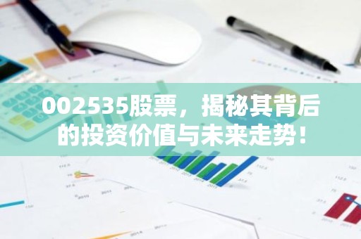 002535股票，揭秘其背后的投资价值与未来走势！