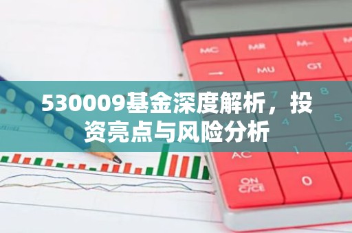 530009基金深度解析，投资亮点与风险分析