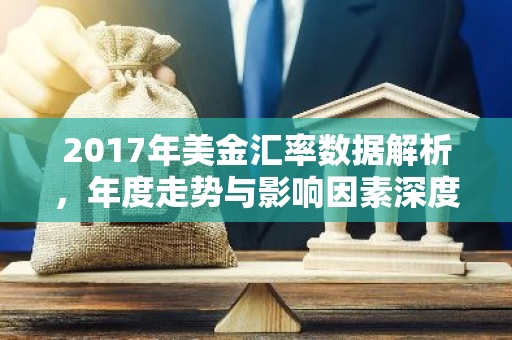 2017年美金汇率数据解析，年度走势与影响因素深度分析