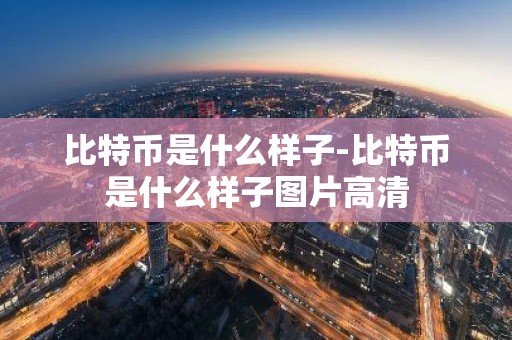 比特币是什么样子-比特币是什么样子图片高清