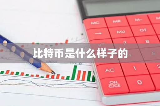 比特币是什么样子的