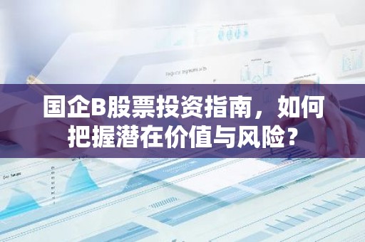 国企B股票投资指南，如何把握潜在价值与风险？