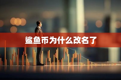 鲨鱼币为什么改名了