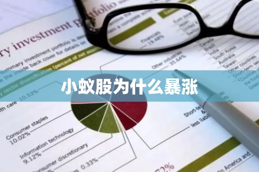 小蚁股为什么暴涨