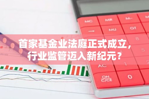 首家基金业法庭正式成立，行业监管迈入新纪元？