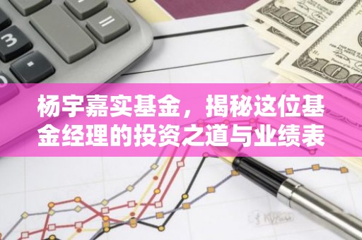 杨宇嘉实基金，揭秘这位基金经理的投资之道与业绩表现