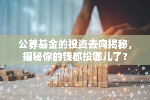 公募基金的投资去向揭秘，揭秘你的钱都投哪儿了？