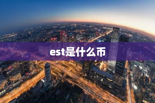 est是什么币