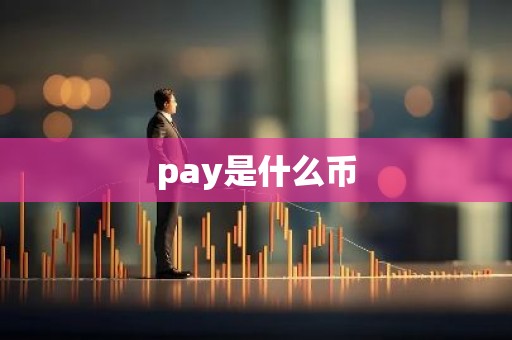 pay是什么币