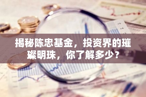 揭秘陈忠基金，投资界的璀璨明珠，你了解多少？
