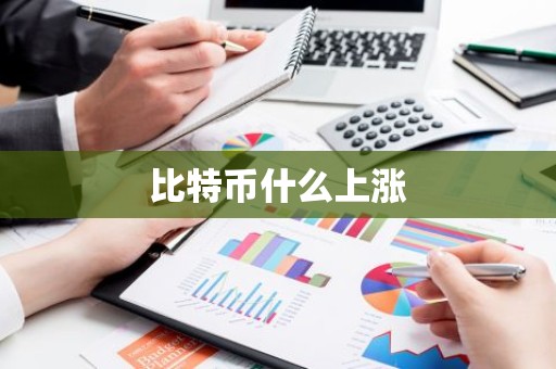 比特币什么上涨