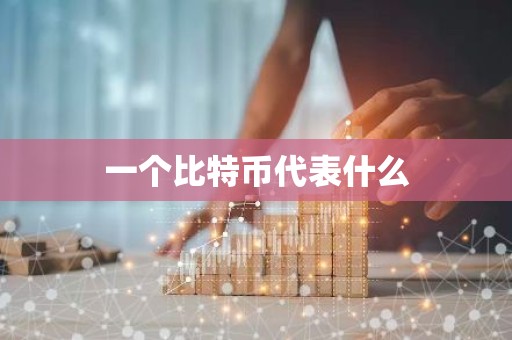 一个比特币代表什么