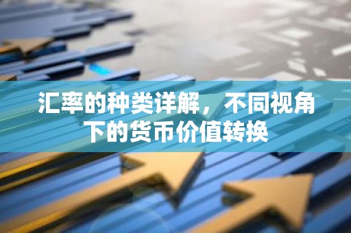 汇率的种类详解，不同视角下的货币价值转换