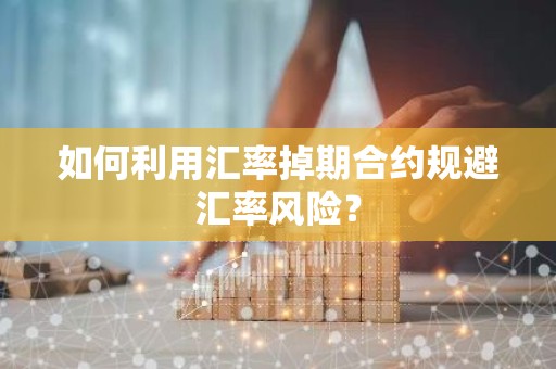 如何利用汇率掉期合约规避汇率风险？