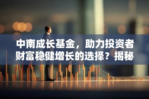 中南成长基金，助力投资者财富稳健增长的选择？揭秘其投资策略与业绩表现！