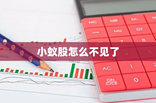 小蚁股怎么不见了