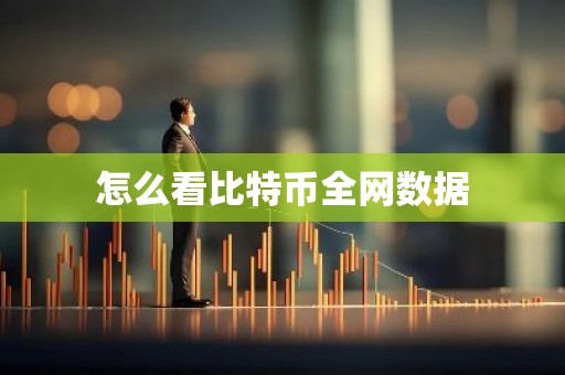 怎么看比特币全网数据