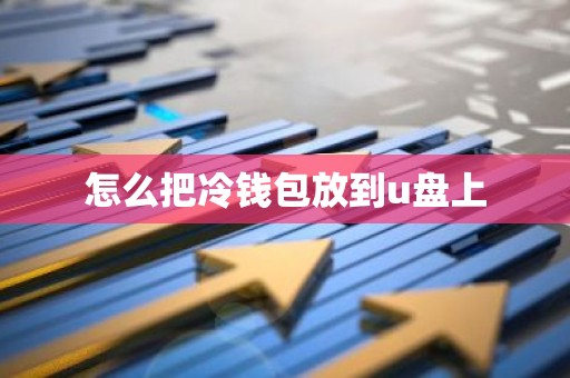 怎么把冷钱包放到u盘上