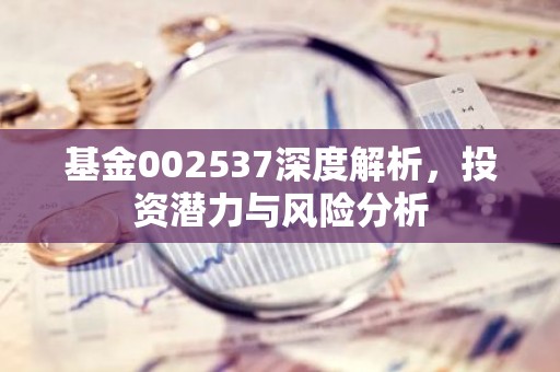 基金002537深度解析，投资潜力与风险分析