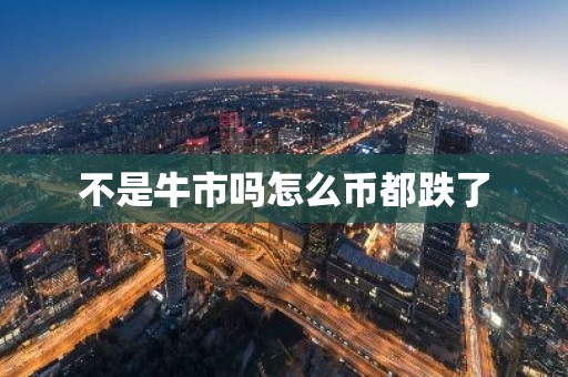 不是牛市吗怎么币都跌了