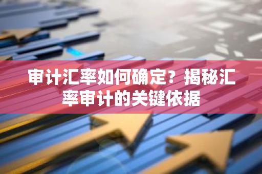 审计汇率如何确定？揭秘汇率审计的关键依据
