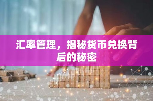 汇率管理，揭秘货币兑换背后的秘密