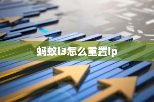 蚂蚁l3怎么重置ip
