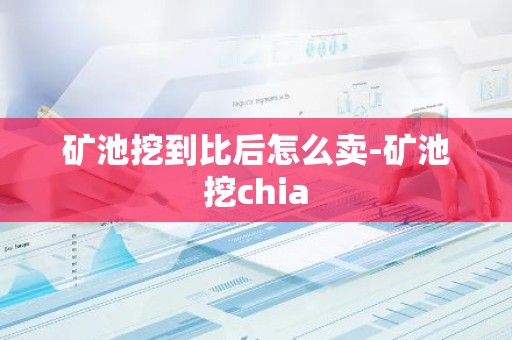 矿池挖到比后怎么卖-矿池挖chia