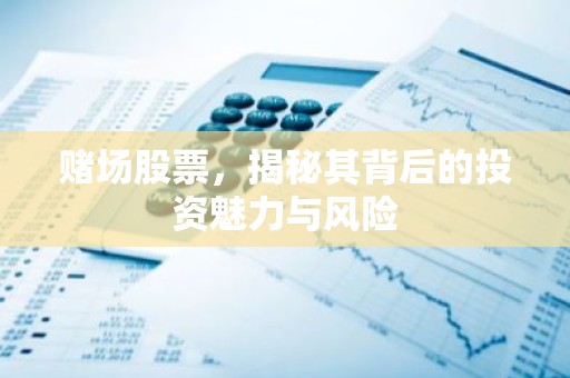 赌场股票，揭秘其背后的投资魅力与风险