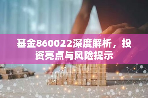 基金860022深度解析，投资亮点与风险提示