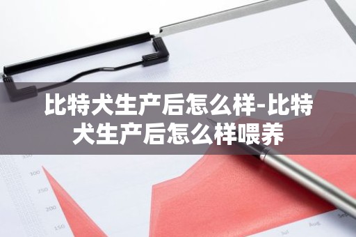 比特犬生产后怎么样-比特犬生产后怎么样喂养