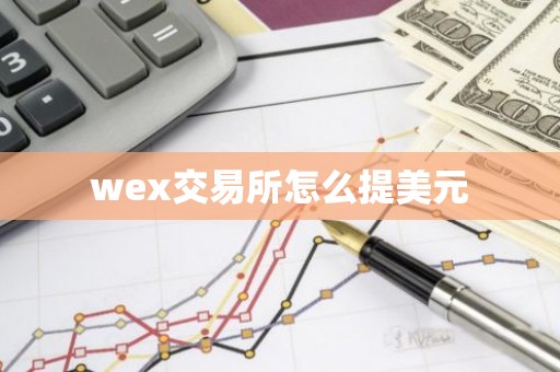 wex交易所怎么提美元