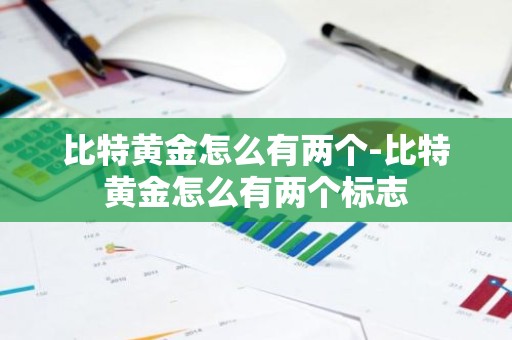 比特黄金怎么有两个-比特黄金怎么有两个标志