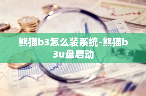 熊猫b3怎么装系统-熊猫b3u盘启动
