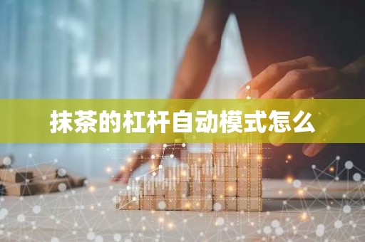 抹茶的杠杆自动模式怎么