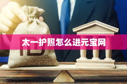 太一护照怎么进元宝网