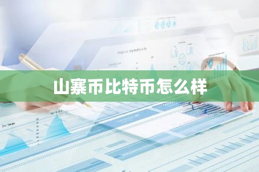 山寨币比特币怎么样
