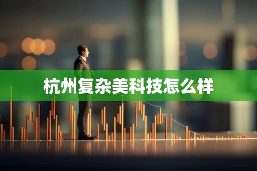 杭州复杂美科技怎么样