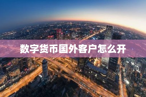 数字货币国外客户怎么开