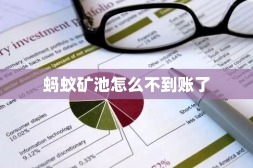 蚂蚁矿池怎么不到账了