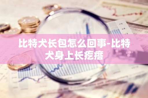 比特犬长包怎么回事-比特犬身上长疙瘩
