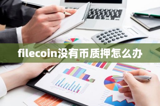 filecoin没有币质押怎么办