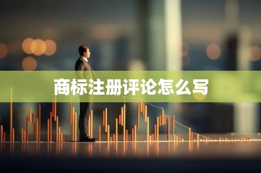 商标注册评论怎么写