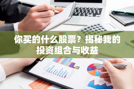 你买的什么股票？揭秘我的投资组合与收益