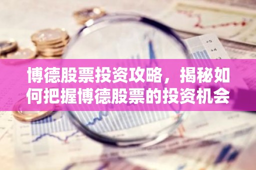 博德股票投资攻略，揭秘如何把握博德股票的投资机会？